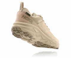 Men's Challenger Low GORE-TEX Oxford Tan / Dune